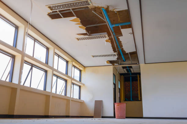 Best Professional water damage repair  in Union Park, FL