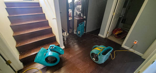 Best Water damage restoration near me  in Union Park, FL