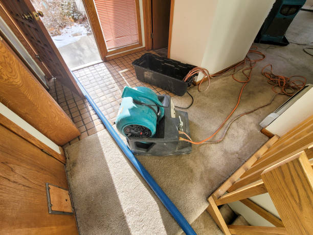 Best Water damage restoration process  in Union Park, FL