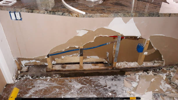 Best 24-hour water damage restoration  in Union Park, FL