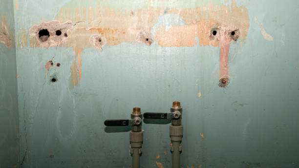 Best Water damage restoration near me  in Union Park, FL
