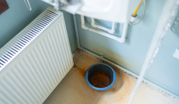 Best Commercial water damage restoration  in Union Park, FL