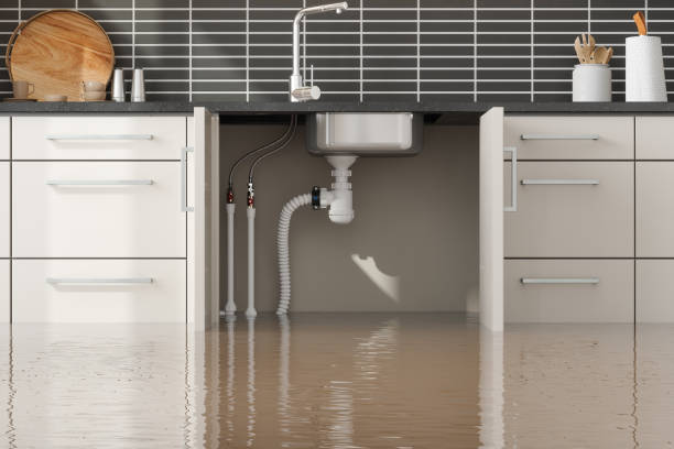 Best Local water damage restoration  in Union Park, FL