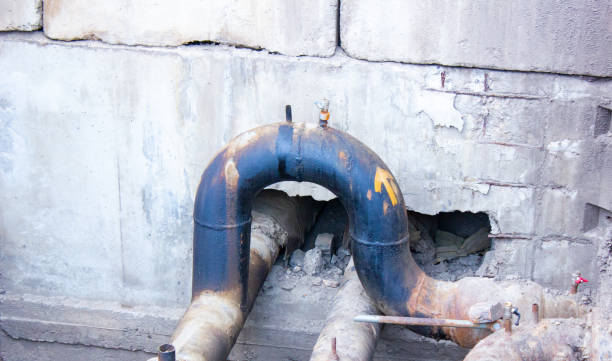 Best Sewage cleanup and water damage restoration  in Union Park, FL