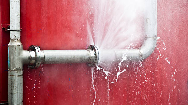 Best Mold removal after water damage  in Union Park, FL